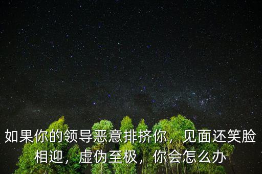 如果你的領(lǐng)導(dǎo)惡意排擠你，見面還笑臉相迎，虛偽至極，你會(huì)怎么辦