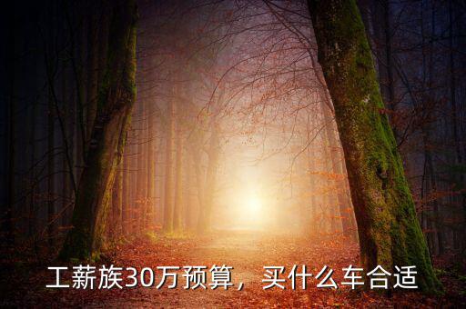 工薪族30萬(wàn)預(yù)算，買什么車合適