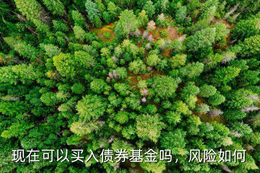 現(xiàn)在可以買入債券基金嗎，風(fēng)險(xiǎn)如何