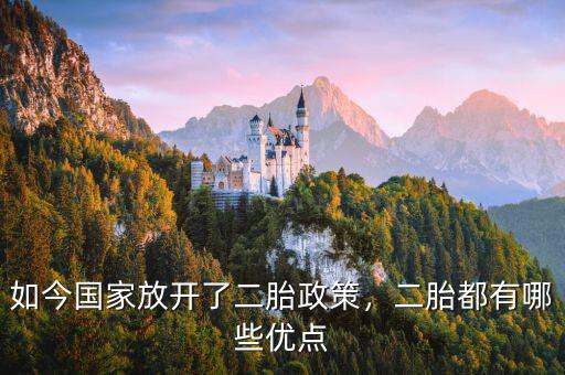 如今國(guó)家放開(kāi)了二胎政策，二胎都有哪些優(yōu)點(diǎn)