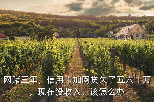 網(wǎng)賭三年，信用卡加網(wǎng)貸欠了五六十萬，現(xiàn)在沒收入，該怎么辦