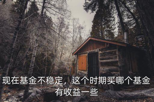 現(xiàn)在基金不穩(wěn)定，這個(gè)時(shí)期買哪個(gè)基金有收益一些