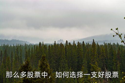 那么多股票中，如何選擇一支好股票