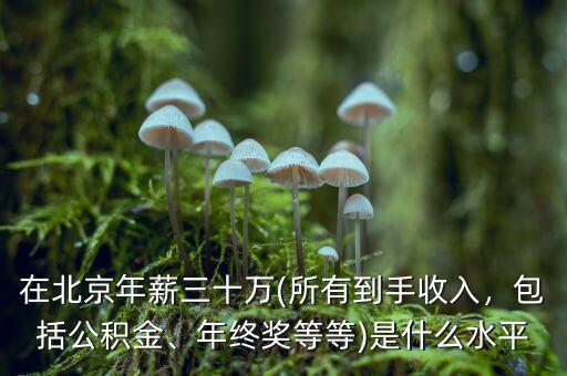 在北京年薪三十萬(所有到手收入，包括公積金、年終獎等等)是什么水平