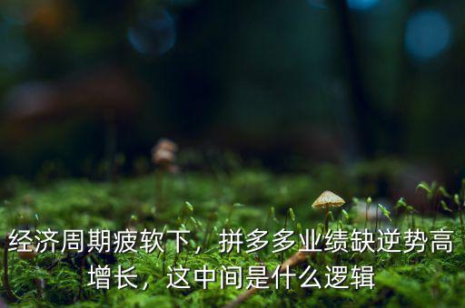 經(jīng)濟周期疲軟下，拼多多業(yè)績?nèi)蹦鎰莞咴鲩L，這中間是什么邏輯