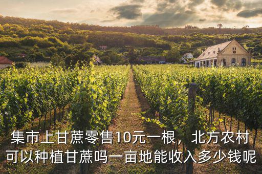 集市上甘蔗零售10元一根，北方農(nóng)村可以種植甘蔗嗎一畝地能收入多少錢呢