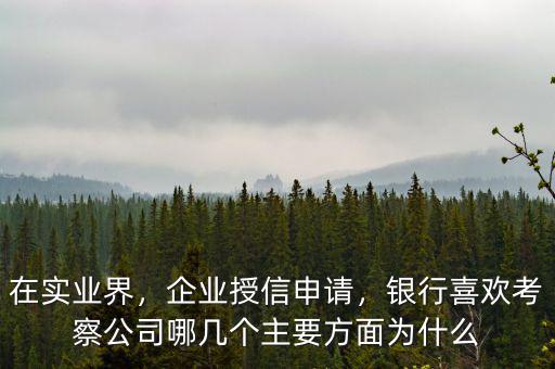在實(shí)業(yè)界，企業(yè)授信申請(qǐng)，銀行喜歡考察公司哪幾個(gè)主要方面為什么