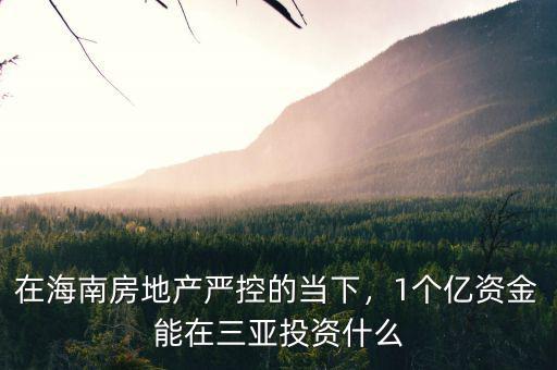 在海南房地產(chǎn)嚴(yán)控的當(dāng)下，1個(gè)億資金能在三亞投資什么