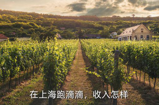 在上海跑滴滴，收入怎樣