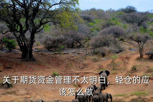 關(guān)于期貨資金管理不太明白，輕倉(cāng)的應(yīng)該怎么做