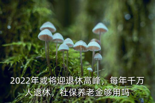 2022年或?qū)⒂诵莞叻澹磕昵f人退休，社保養(yǎng)老金夠用嗎