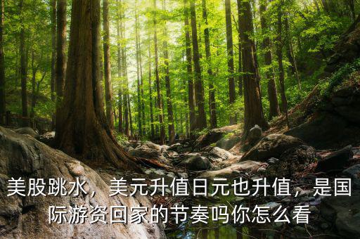 美股跳水，美元升值日元也升值，是國際游資回家的節(jié)奏嗎你怎么看