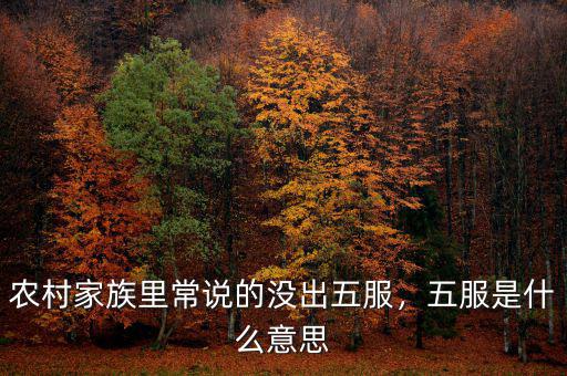 農(nóng)村家族里常說的沒出五服，五服是什么意思