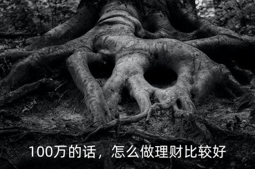100萬的話，怎么做理財(cái)比較好