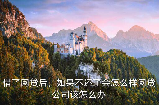 借了網(wǎng)貸后，如果不還了會怎么樣網(wǎng)貸公司該怎么辦