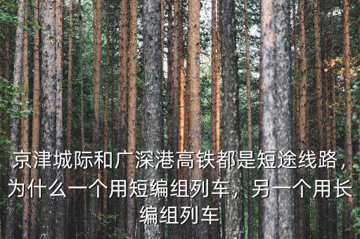 京津城際和廣深港高鐵都是短途線路，為什么一個用短編組列車，另一個用長編組列車