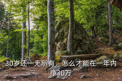 30歲還一無所有，怎么才能在一年內(nèi)掙30萬