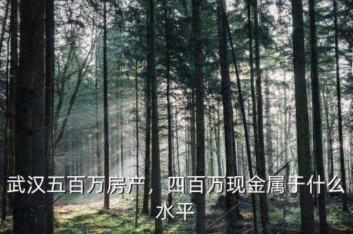 武漢五百萬房產，四百萬現(xiàn)金屬于什么水平