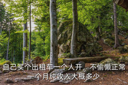 自己買個(gè)出租車一個(gè)人開，不偷懶正常一個(gè)月純收入大概多少