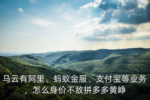 馬云有阿里、螞蟻金服、支付寶等業(yè)務(wù)，怎么身價(jià)不敵拼多多黃崢