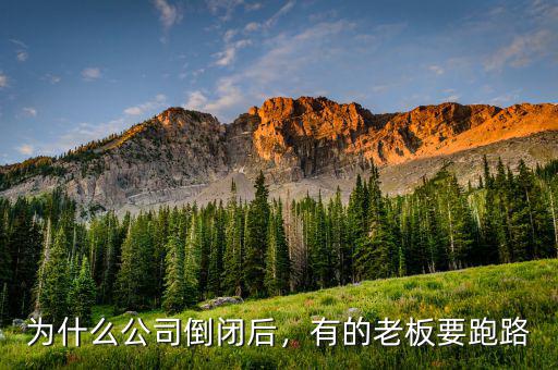 為什么公司倒閉后，有的老板要跑路