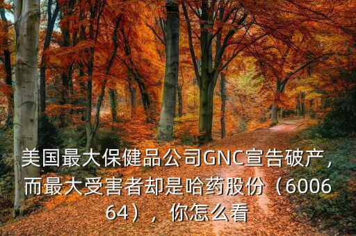 美國最大保健品公司GNC宣告破產(chǎn)，而最大受害者卻是哈藥股份（600664），你怎么看