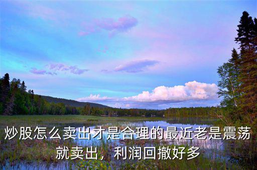 炒股怎么賣出才是合理的最近老是震蕩就賣出，利潤回撤好多
