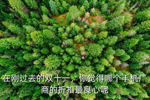 在剛過去的雙十一，你覺得哪個(gè)手機(jī)廠商的折扣最良心呢