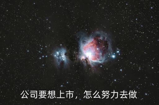 公司要想上市，怎么努力去做