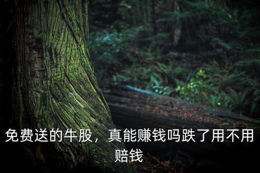 免費(fèi)送的牛股，真能賺錢(qián)嗎跌了用不用賠錢(qián)