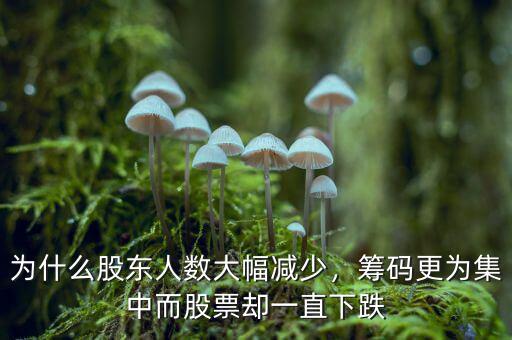 為什么股東人數(shù)大幅減少，籌碼更為集中而股票卻一直下跌