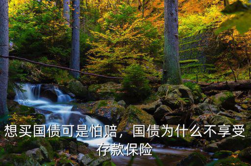 想買國(guó)債可是怕賠，國(guó)債為什么不享受存款保險(xiǎn)