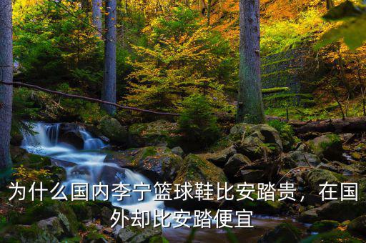 為什么國內(nèi)李寧籃球鞋比安踏貴，在國外卻比安踏便宜