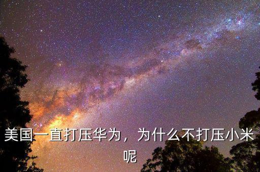 美國(guó)一直打壓華為，為什么不打壓小米呢