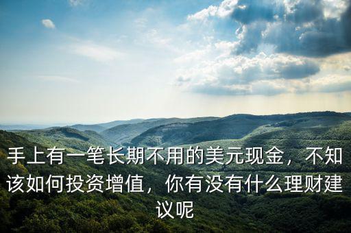 手上有一筆長(zhǎng)期不用的美元現(xiàn)金，不知該如何投資增值，你有沒有什么理財(cái)建議呢
