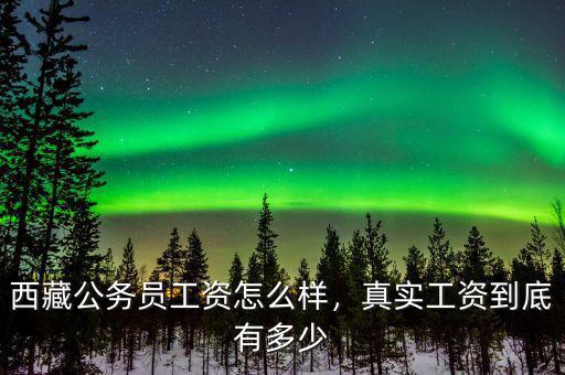 西藏公務(wù)員工資怎么樣，真實工資到底有多少