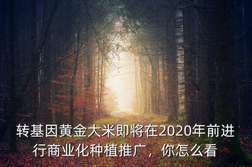 轉(zhuǎn)基因黃金大米即將在2020年前進(jìn)行商業(yè)化種植推廣，你怎么看