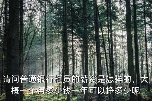 請(qǐng)問(wèn)普通銀行柜員的薪資是怎樣的，大概一個(gè)月多少錢(qián)一年可以掙多少呢