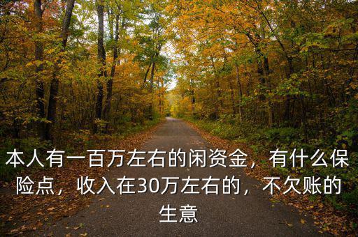 本人有一百萬左右的閑資金，有什么保險點(diǎn)，收入在30萬左右的，不欠賬的生意