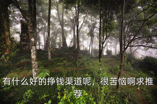 有什么好的掙錢渠道呢，很苦惱啊求推薦