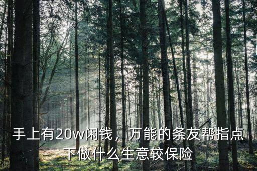 手上有20w閑錢，萬能的條友幫指點下做什么生意較保險