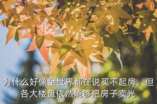 為什么好像全世界都在說買不起房，但各大樓盤依然能夠把房子賣光