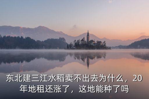 東北建三江水稻賣不出去為什么，20年地租還漲了，這地能種了嗎