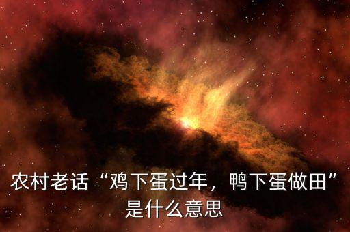 農(nóng)村老話“雞下蛋過年，鴨下蛋做田”是什么意思