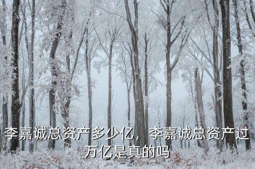 李嘉誠(chéng)總資產(chǎn)多少億，李嘉誠(chéng)總資產(chǎn)過(guò)萬(wàn)億是真的嗎