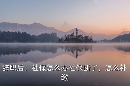 辭職后，社保怎么辦社保斷了，怎么補(bǔ)繳