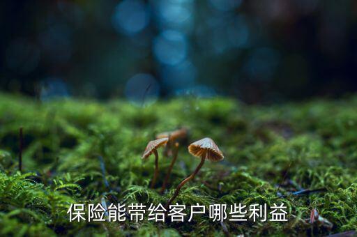 什么是客戶(hù)利益,保險(xiǎn)能帶給客戶(hù)哪些利益