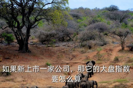 如果新上市一家公司，那它的大盤指數(shù)要怎么算