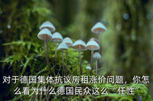 對(duì)于德國(guó)集體抗議房租漲價(jià)問題，你怎么看為什么德國(guó)民眾這么“任性”