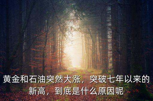 黃金和石油突然大漲，突破七年以來的新高，到底是什么原因呢